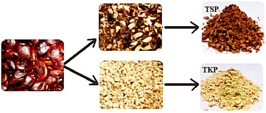 Molecules 19 13909 g012 550