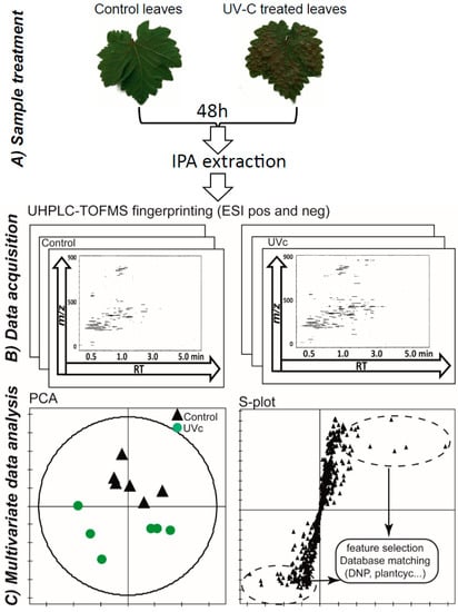 Molecules 19 14004 g001 550