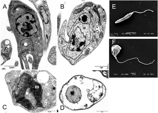 Molecules 19 14052 g005 550