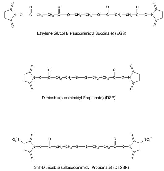 Molecules 19 14139 g007 550