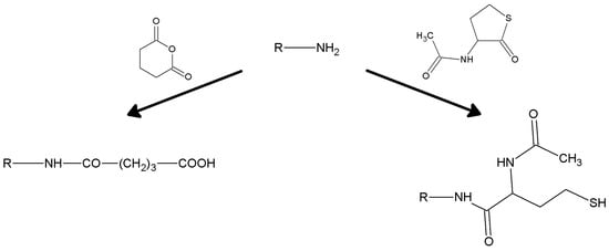 Molecules 19 14139 g009 550