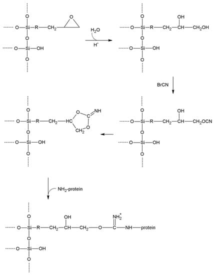 Molecules 19 14139 g011 550