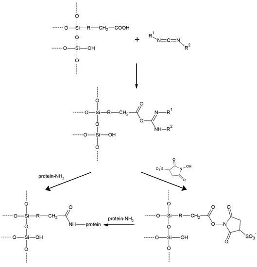 Molecules 19 14139 g019 550