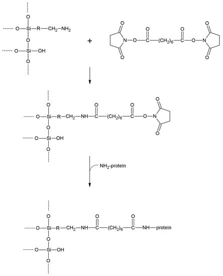 Molecules 19 14139 g022 550