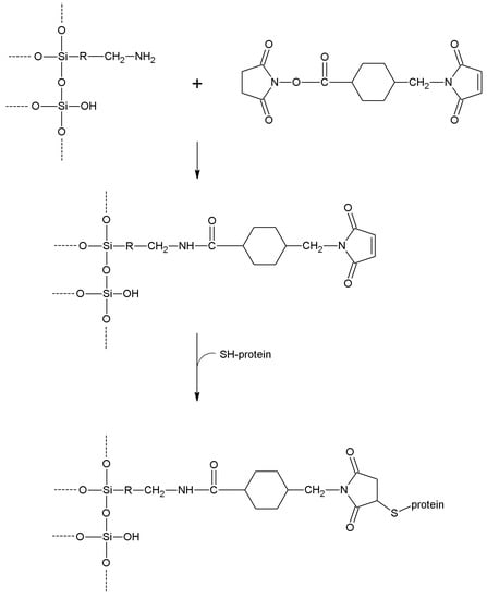 Molecules 19 14139 g023 550