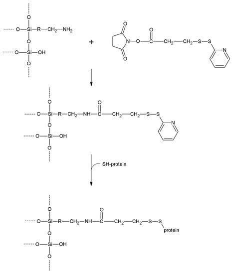 Molecules 19 14139 g024 550