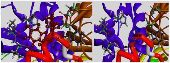 Molecules 19 14316 g004 550