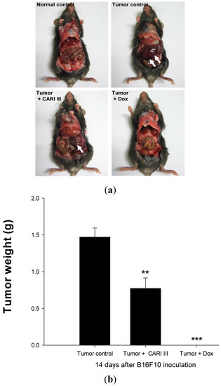 Molecules 19 14383 g003 550