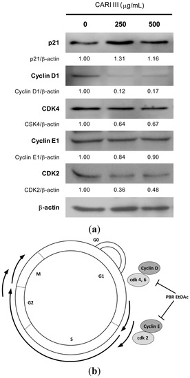 Molecules 19 14383 g008 550