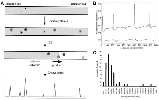 Molecules 19 14417 g001 550