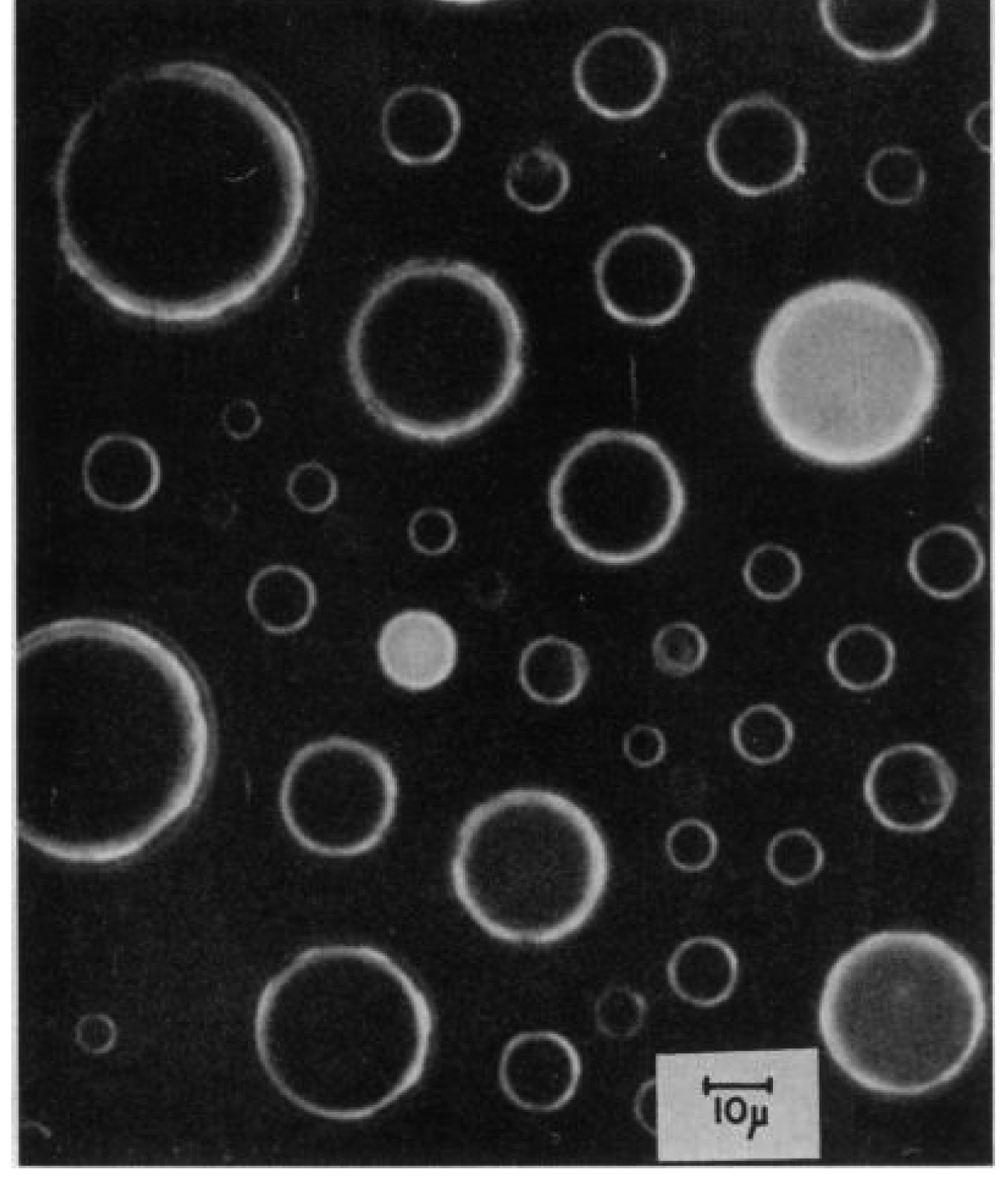 Molecules 19 14417 g002
