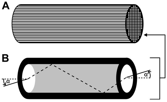 Molecules 19 14417 g004 550