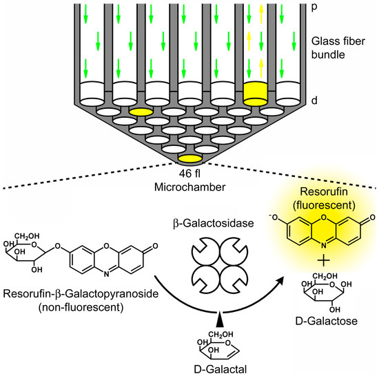 Molecules 19 14417 g005 550