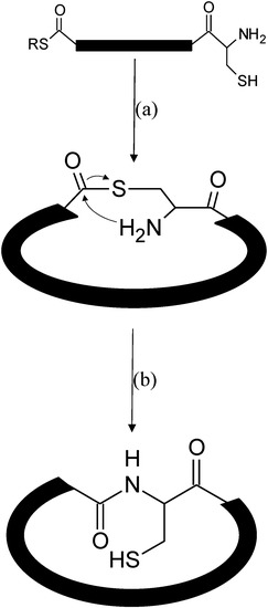 Molecules 19 14461 g005 550
