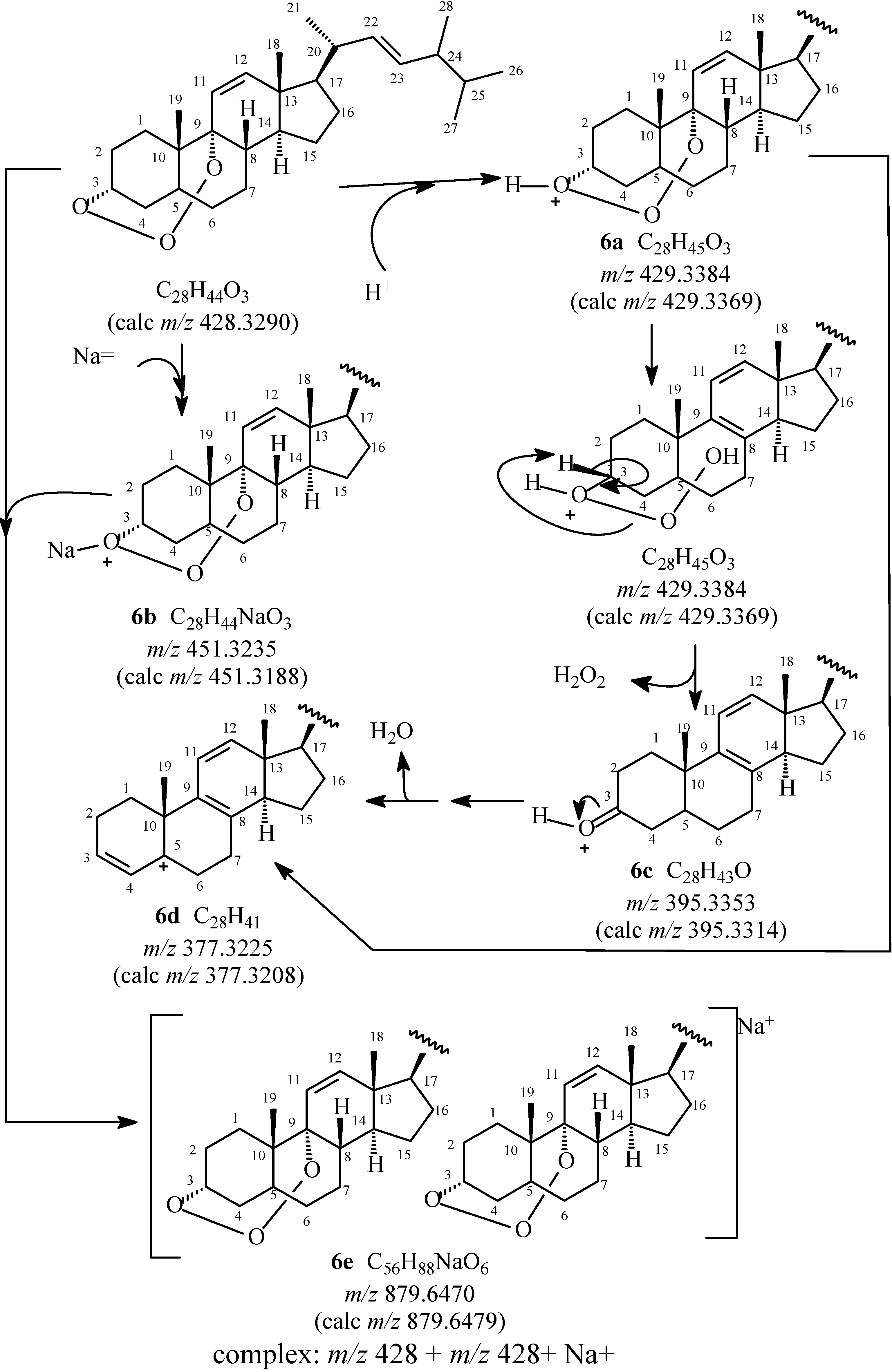 Molecules 19 14637 g004