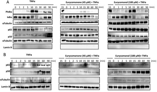 Molecules 19 14649 g008 550