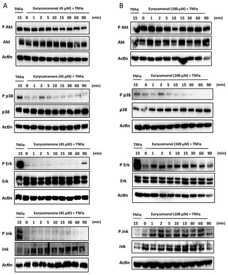 Molecules 19 14649 g009 550