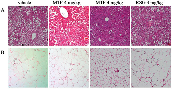 Molecules 19 14687 g005 550