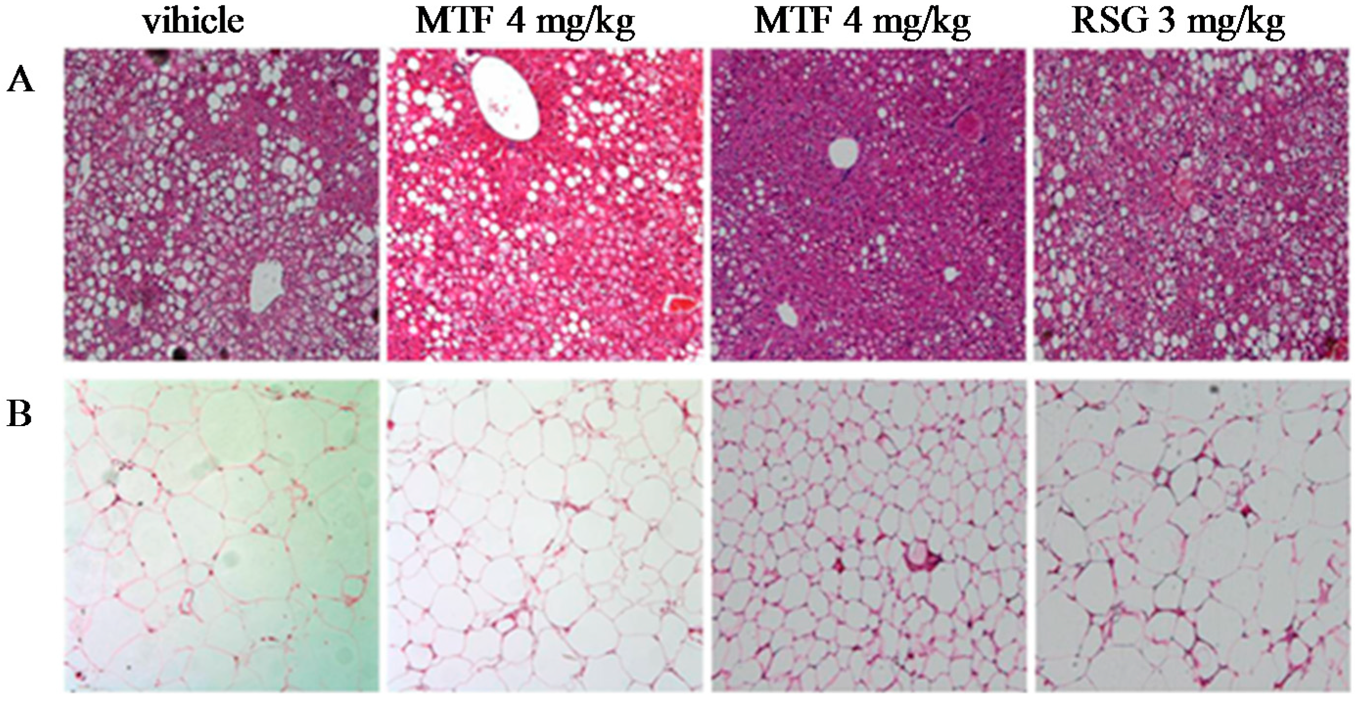 Molecules 19 14687 g005