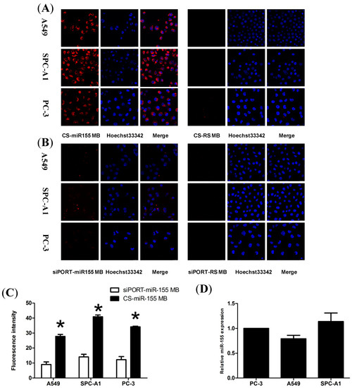 Molecules 19 14710 g003 550