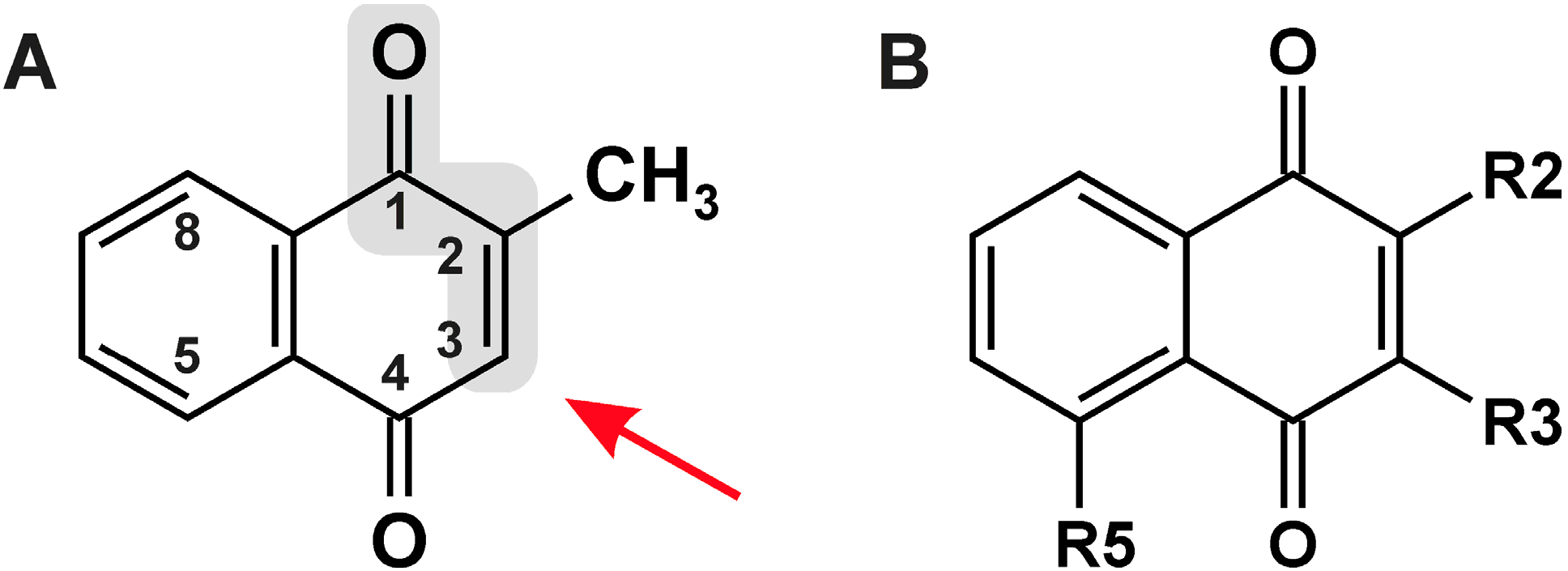 Molecules 19 14902 g001