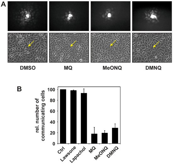 Molecules 19 14902 g002 550