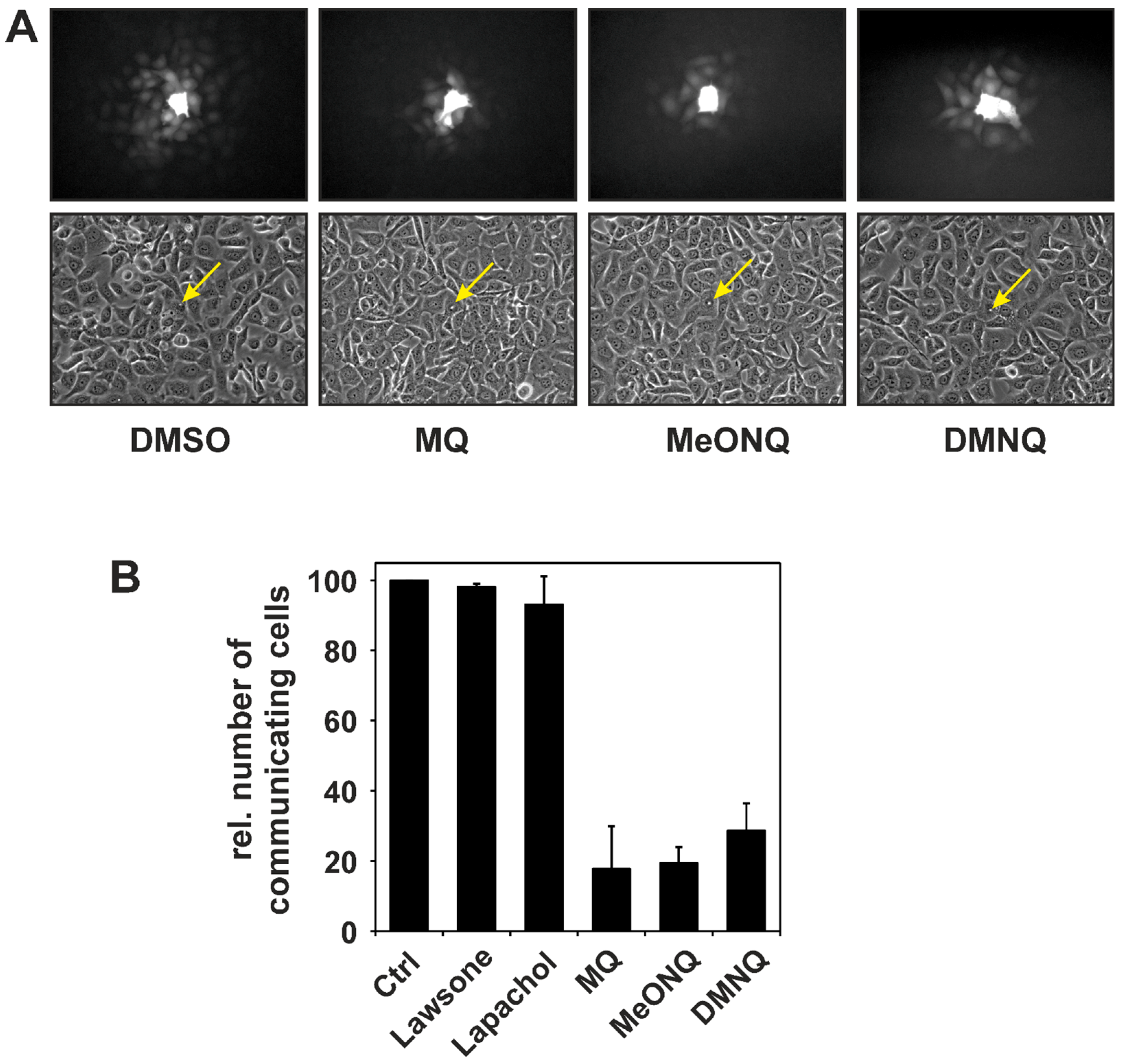 Molecules 19 14902 g002