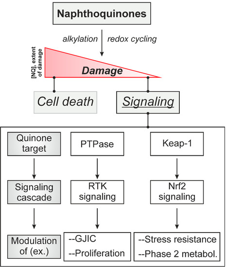 Molecules 19 14902 g003 550