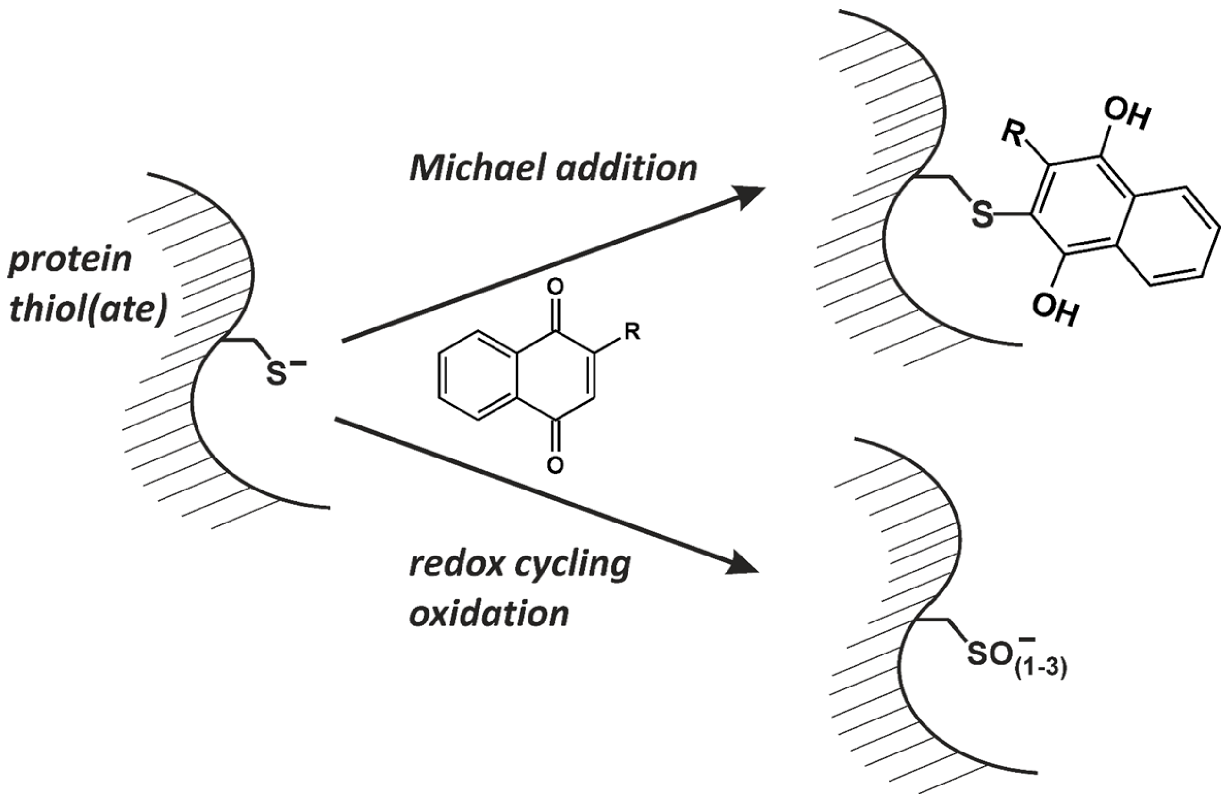 Molecules 19 14902 g004