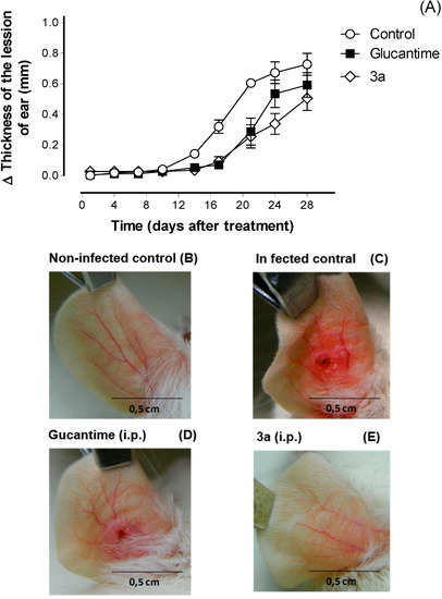 Molecules 19 15180 g003 550