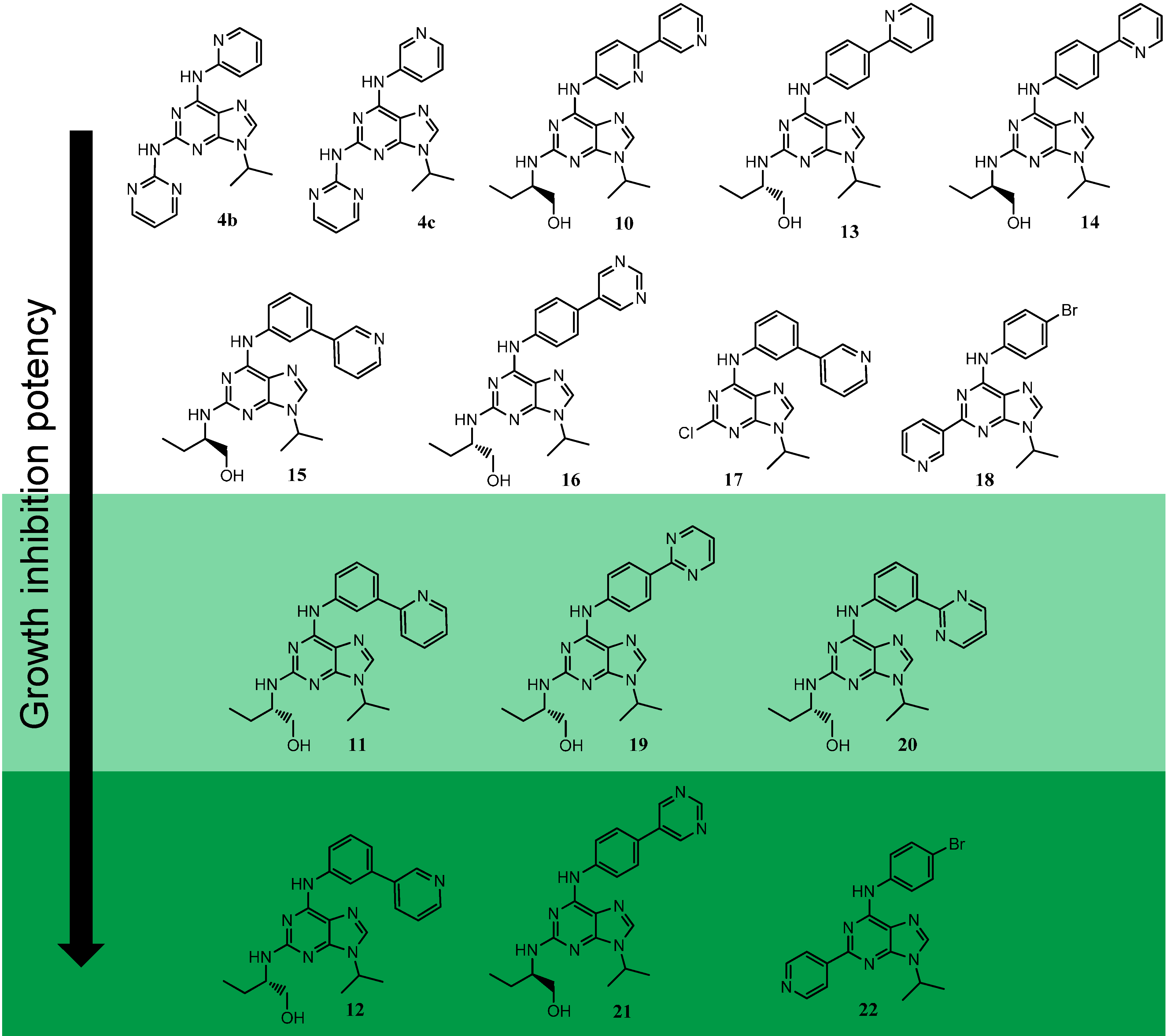 Molecules 19 15237 g003