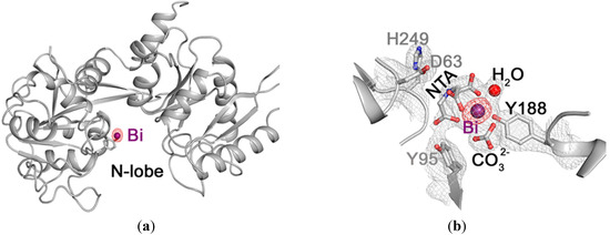 Molecules 19 15258 g004 550