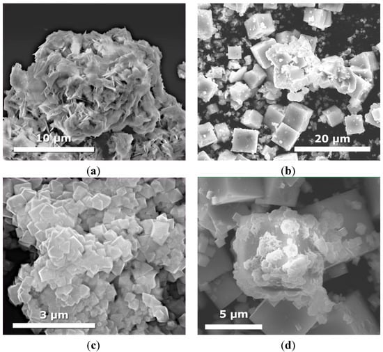 Molecules 19 15339 g004 550