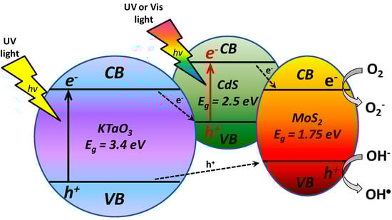 Molecules 19 15339 g010 550