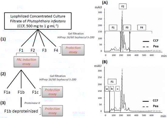 Molecules 19 15374 g001 550