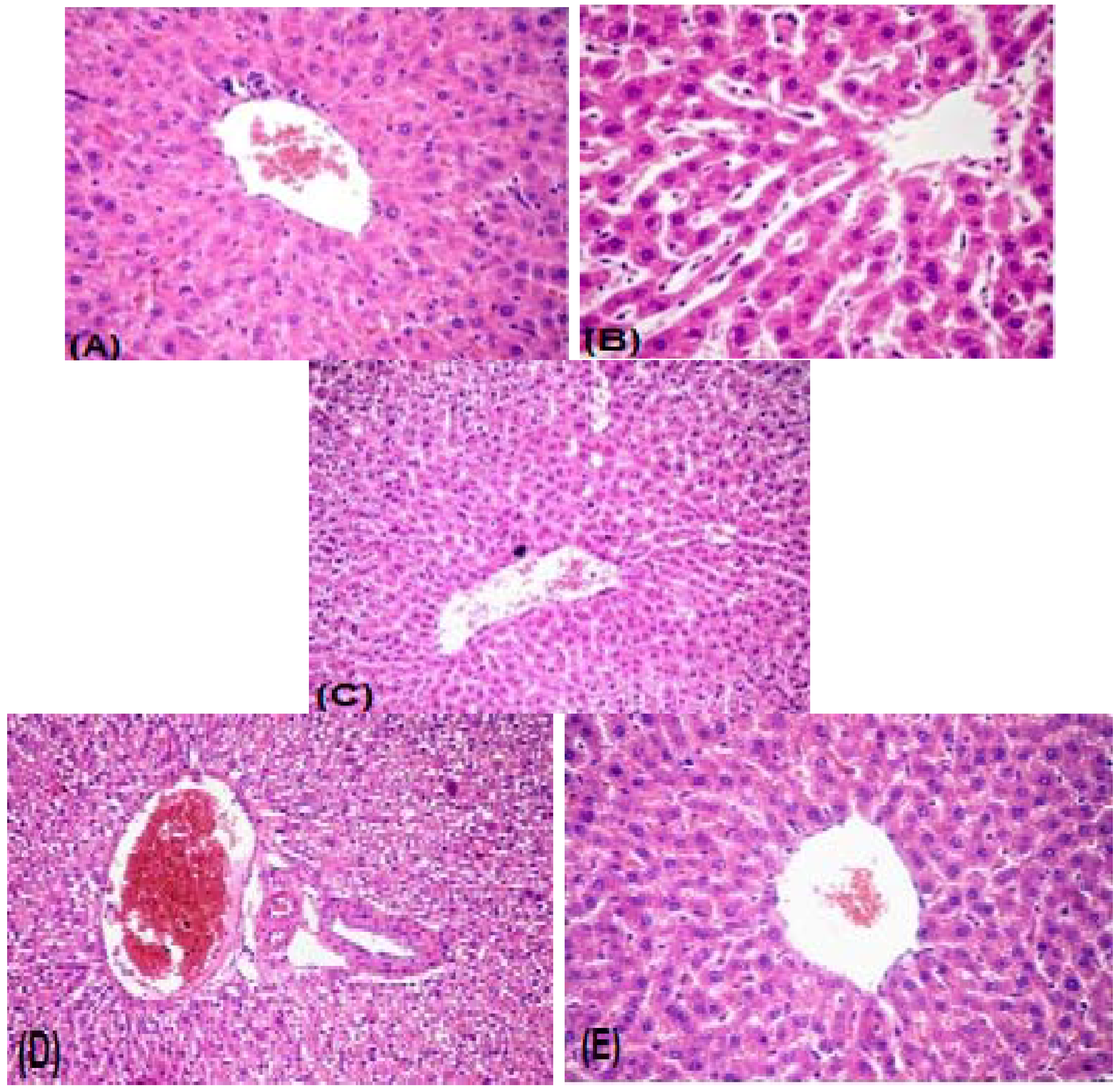 Molecules 19 15440 g003