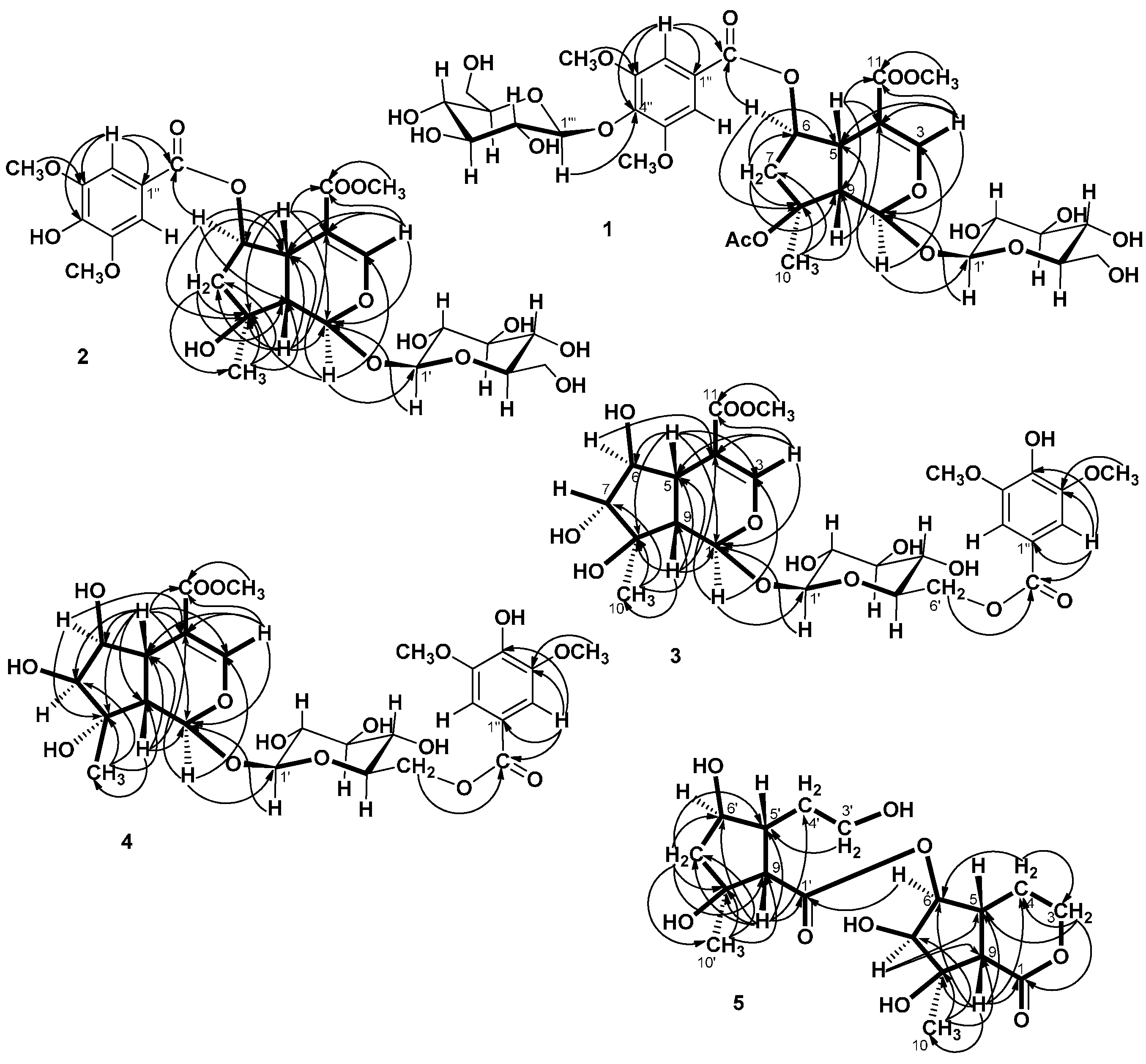 Molecules 19 15521 g002