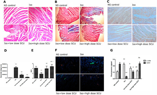 Molecules 19 15611 g002 550