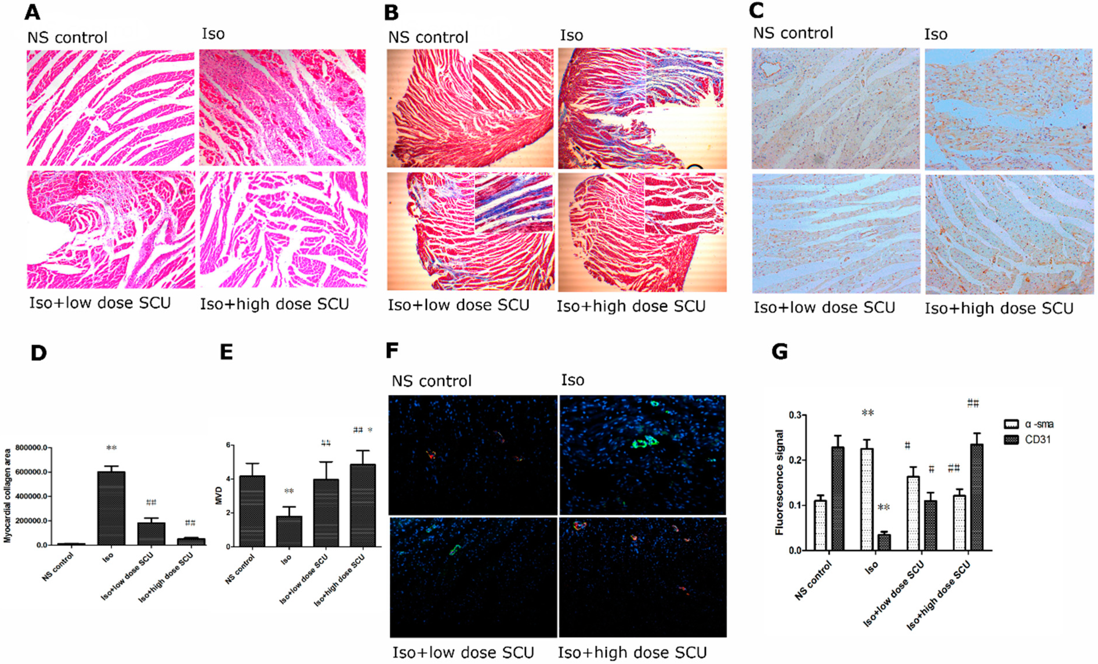 Molecules 19 15611 g002