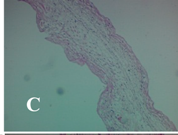 Molecules 19 15624 i003