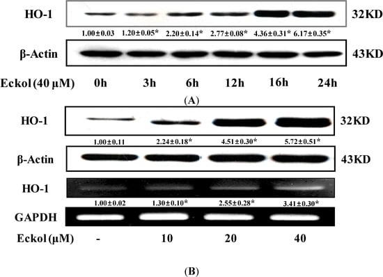 Molecules 19 15638 g003 550
