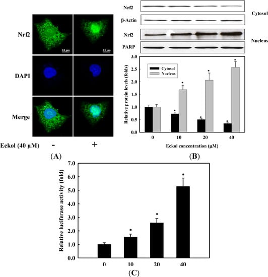 Molecules 19 15638 g004 550