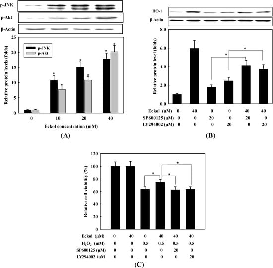 Molecules 19 15638 g005 550