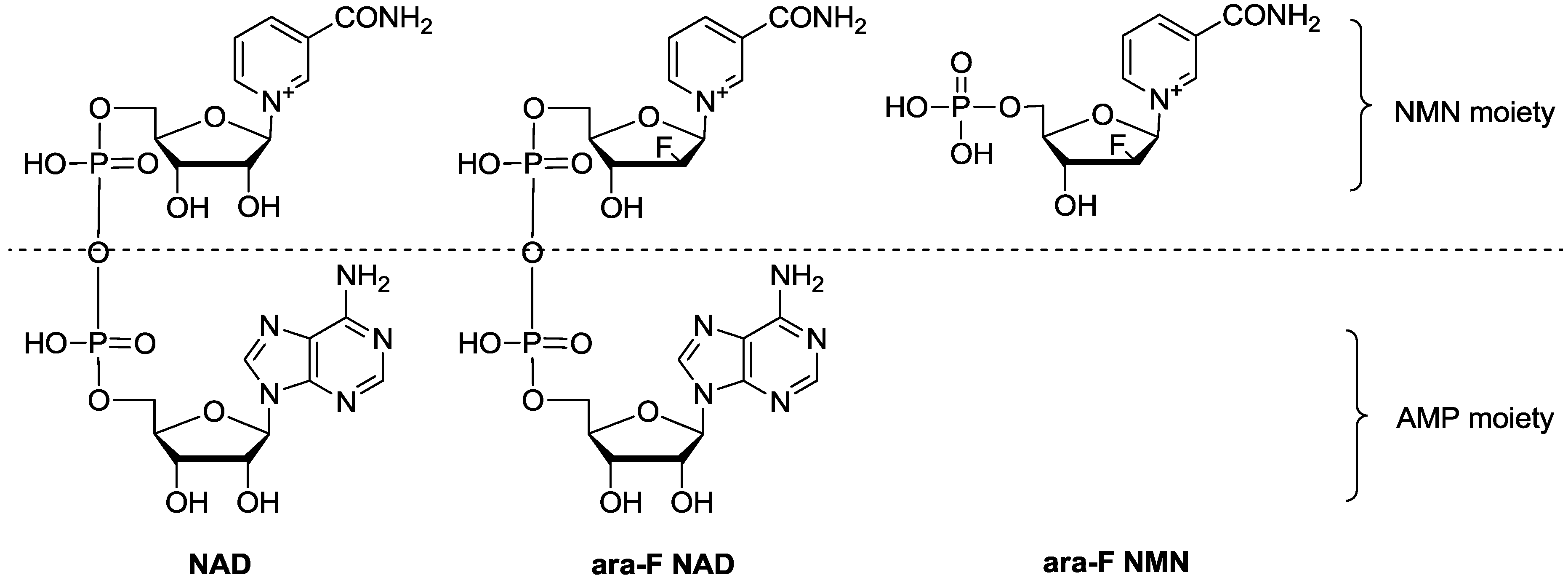 Molecules 19 15754 g001