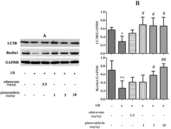 Molecules 19 15786 g008 550