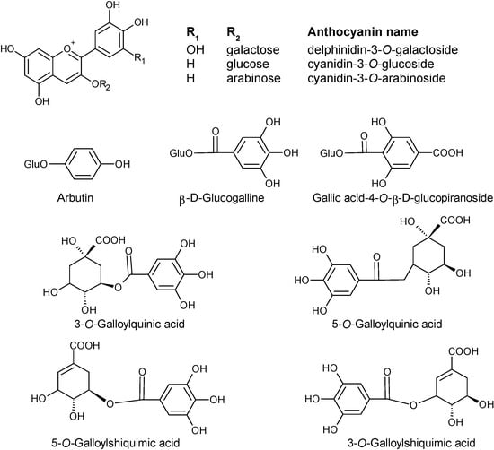 Molecules 19 15799 g004 550