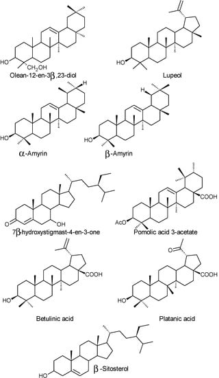 Molecules 19 15799 g006 550