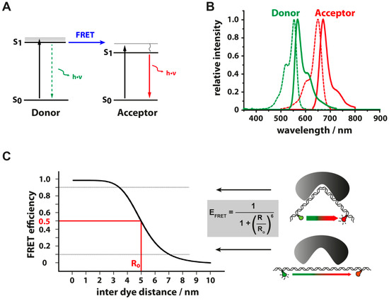 Molecules 19 15824 g003 550
