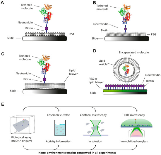 Molecules 19 15824 g006 550