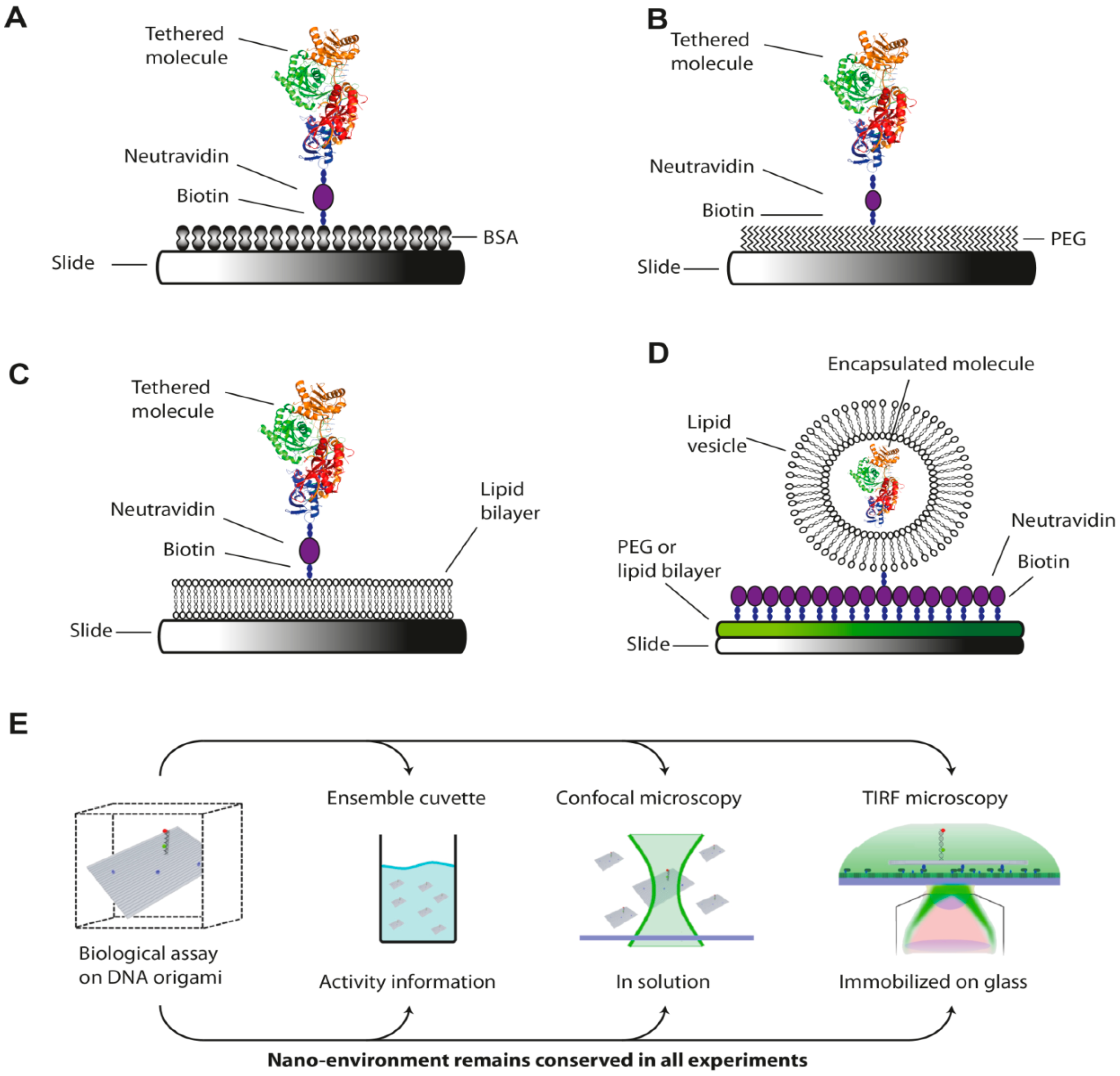 Molecules 19 15824 g006
